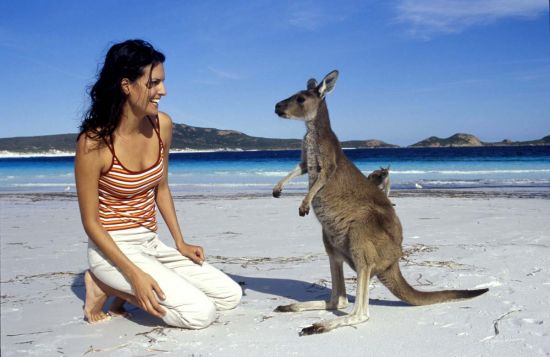 Изобилие информации о туризме в Австралии