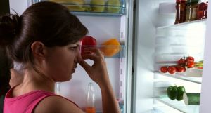 как устранить запах в холодильнике