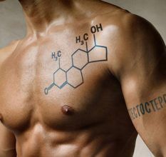 Как повысить уровень тестостерона у мужчин