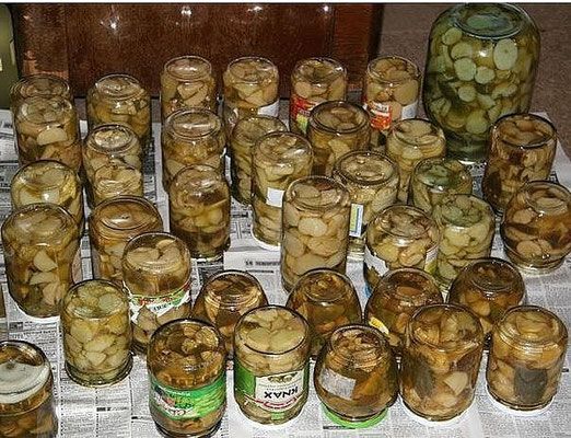 Потрясающая домашняя заготовка на зиму из лесных грибов