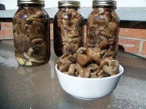 Потрясающая домашняя заготовка на зиму из лесных грибов