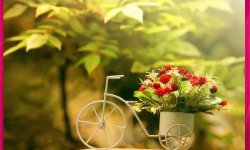 Услуга доставки цветов: почему это выгодно